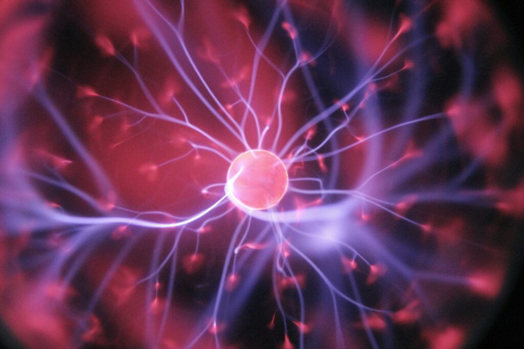 neuroscience of pitch recognition